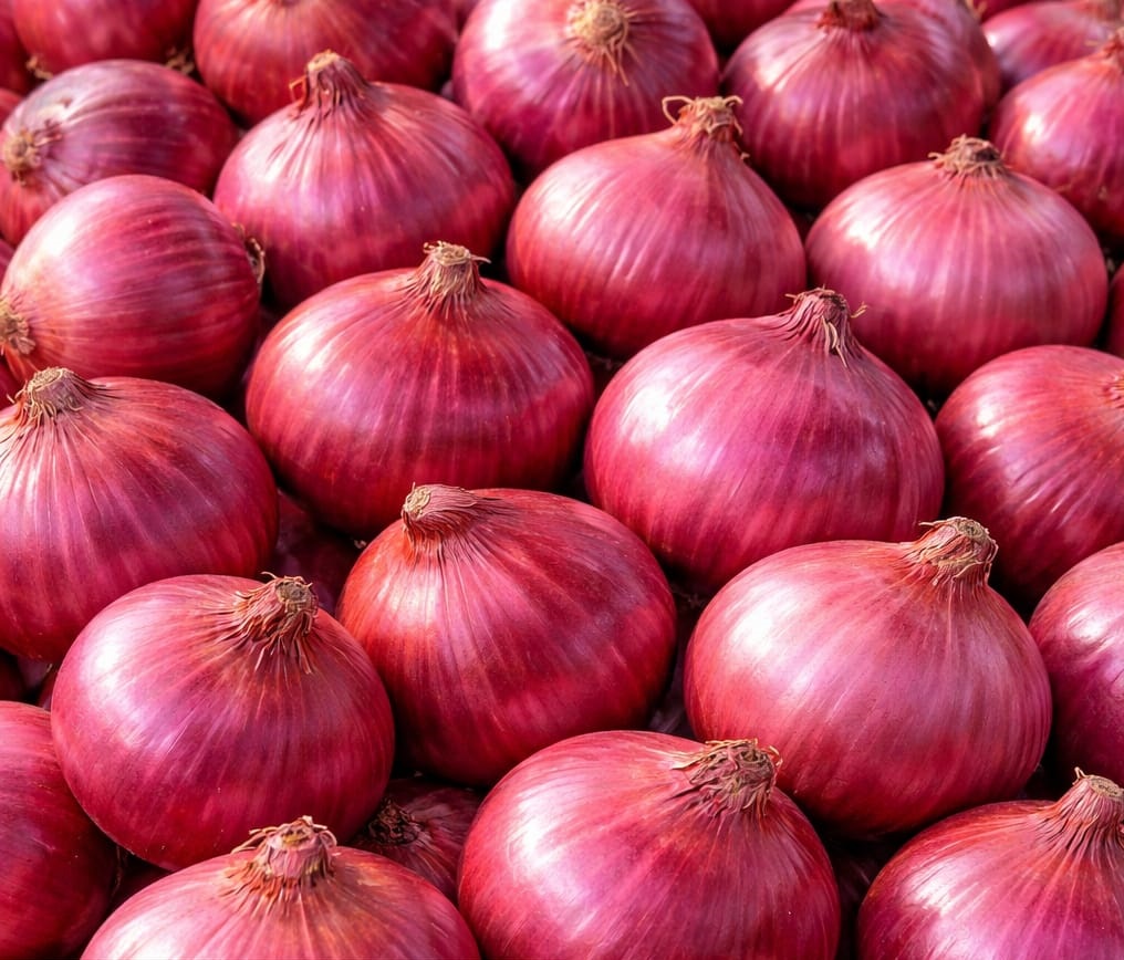 Fresh Onion